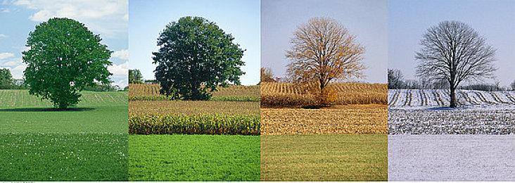 荣耀破千万，Quantic Dream巨献：《底特律：化身为人》《超凡双生》《暴雨》携手最低2.5折