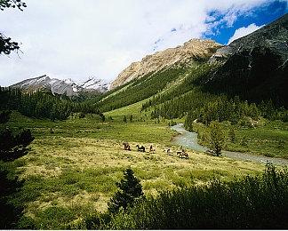 下载别人老婆？ 《inZOI云族裔》热门捏脸角色分享